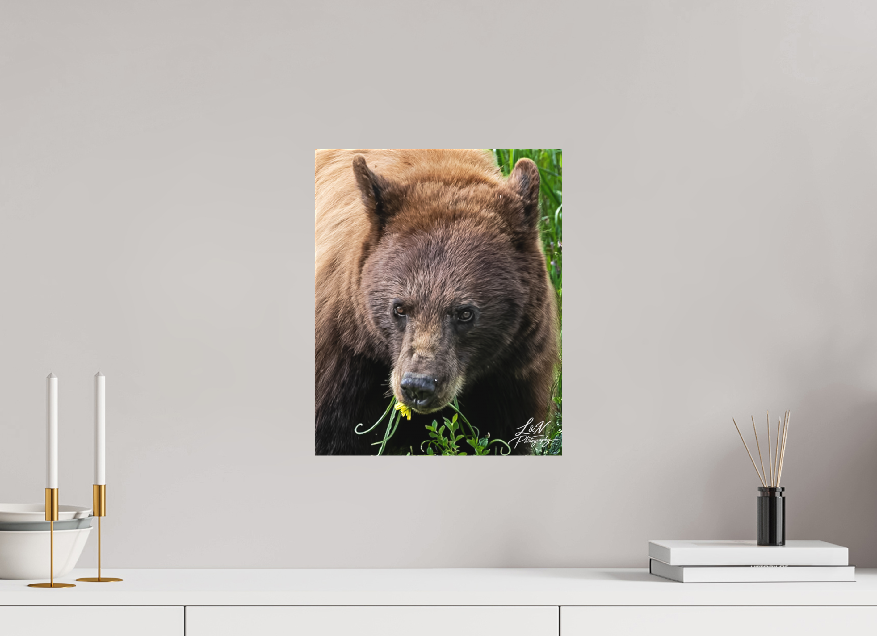 12 x 15″, Matte Canvas on Stretcher Frame Eyes of the Wild