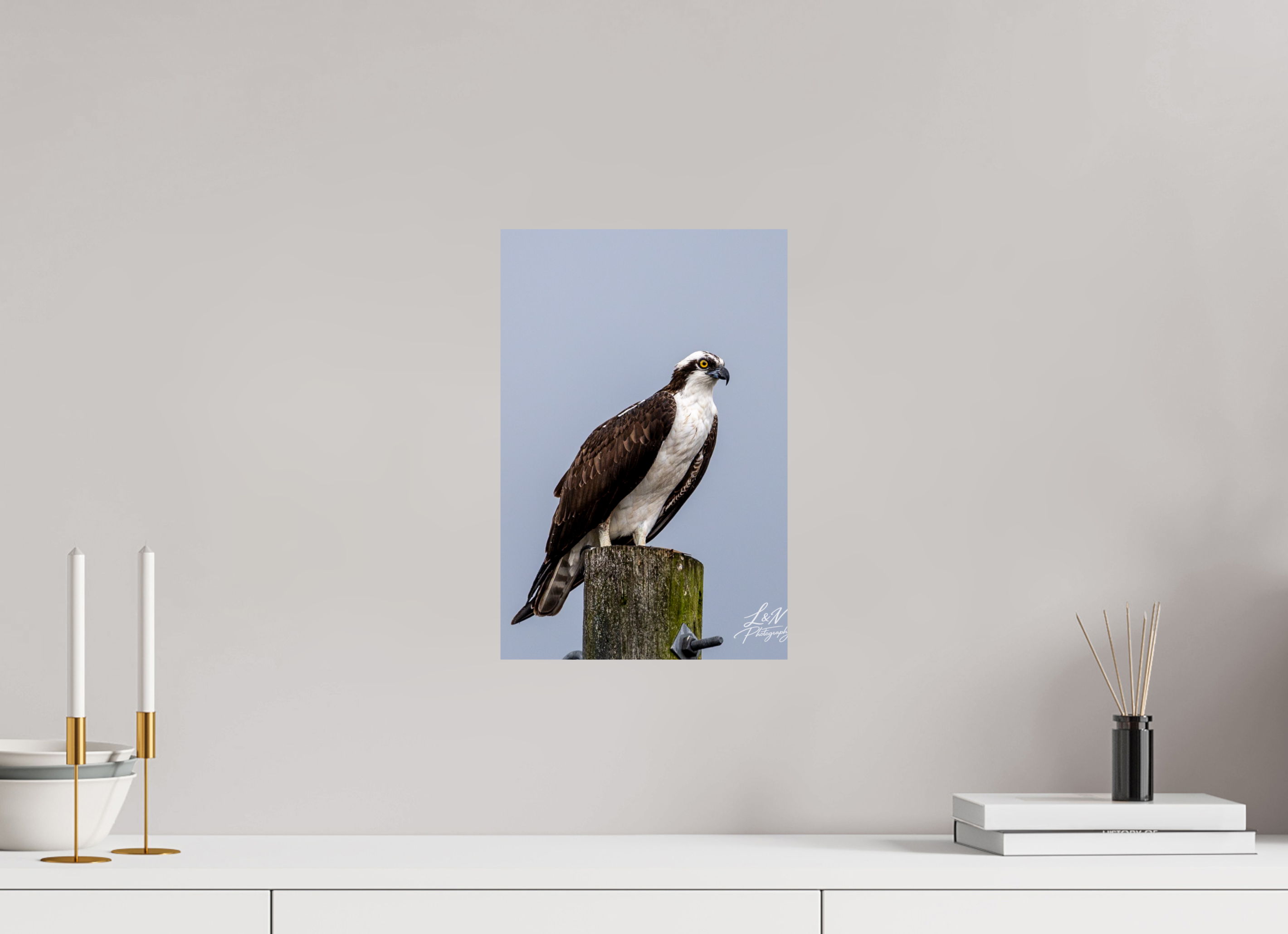 10 x 15″, Photo Print On Fuji Crystal DP II Focused