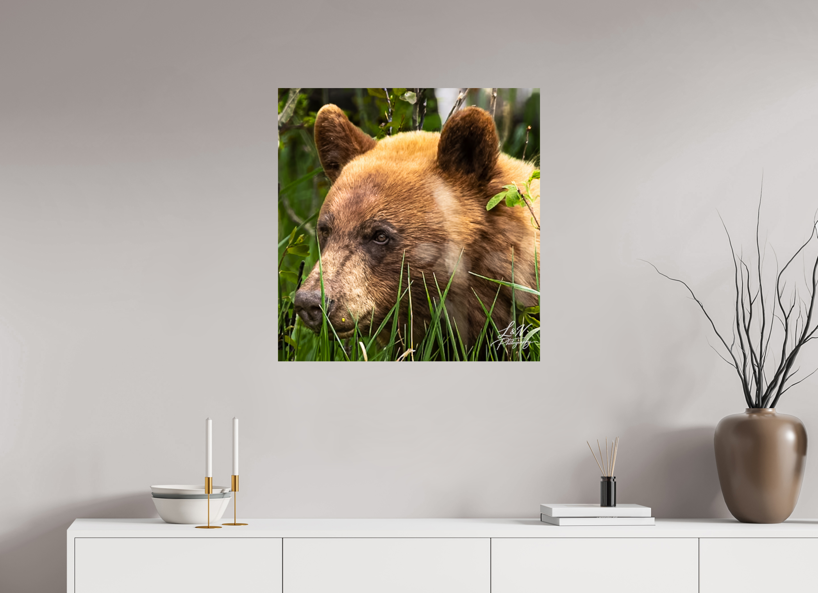 28 x 29.2″, Photo Print On Fuji Crystal DP II Cinnamon Bear