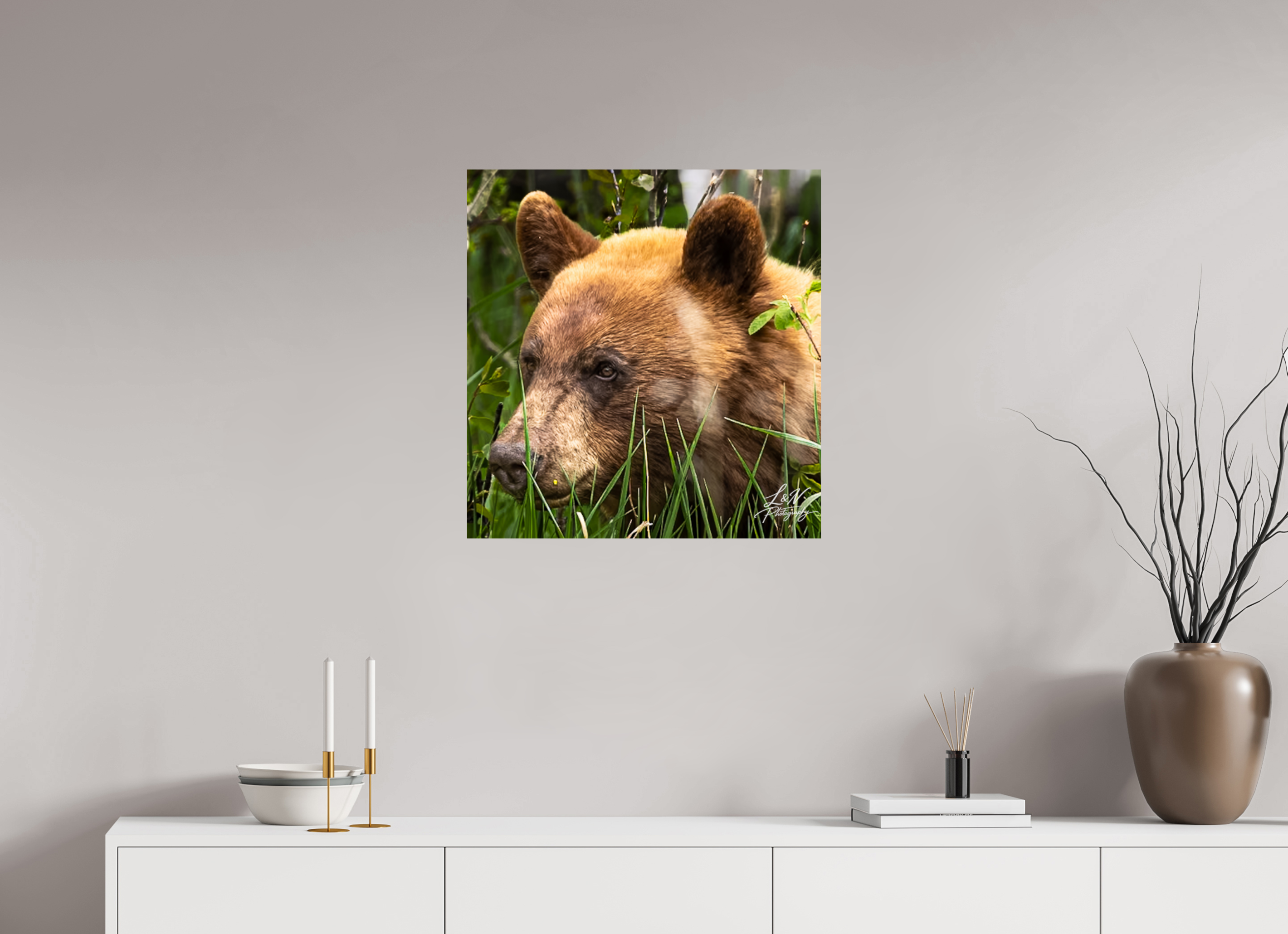 24 x 25″, Photo Print On Fuji Crystal DP II Cinnamon Bear