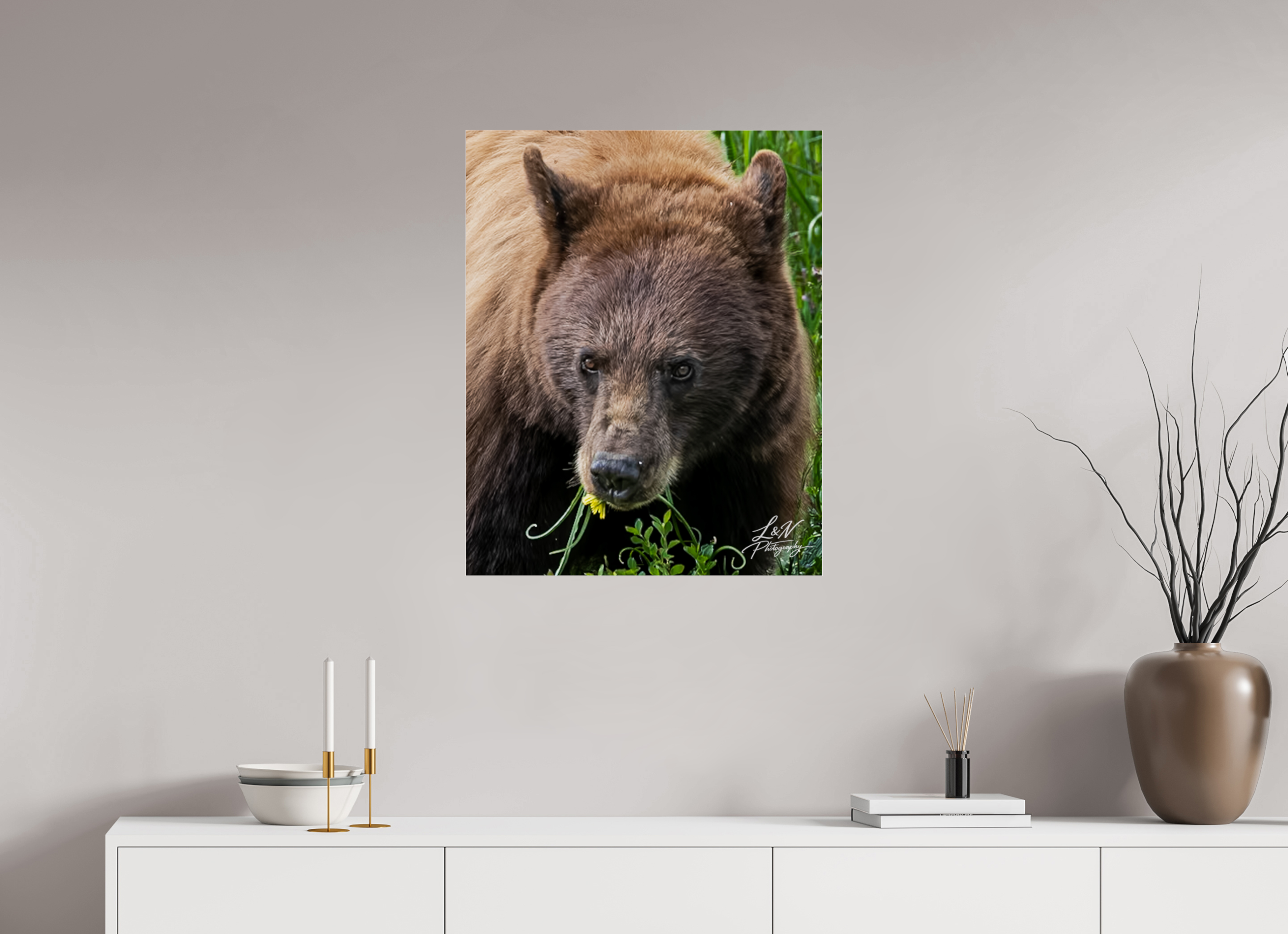 24 x 30″, Photo Print Under Acrylic Glass Eyes of the Wild