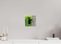 8 x 8″, Photo Print On Fuji Crystal DP II Bear Cub