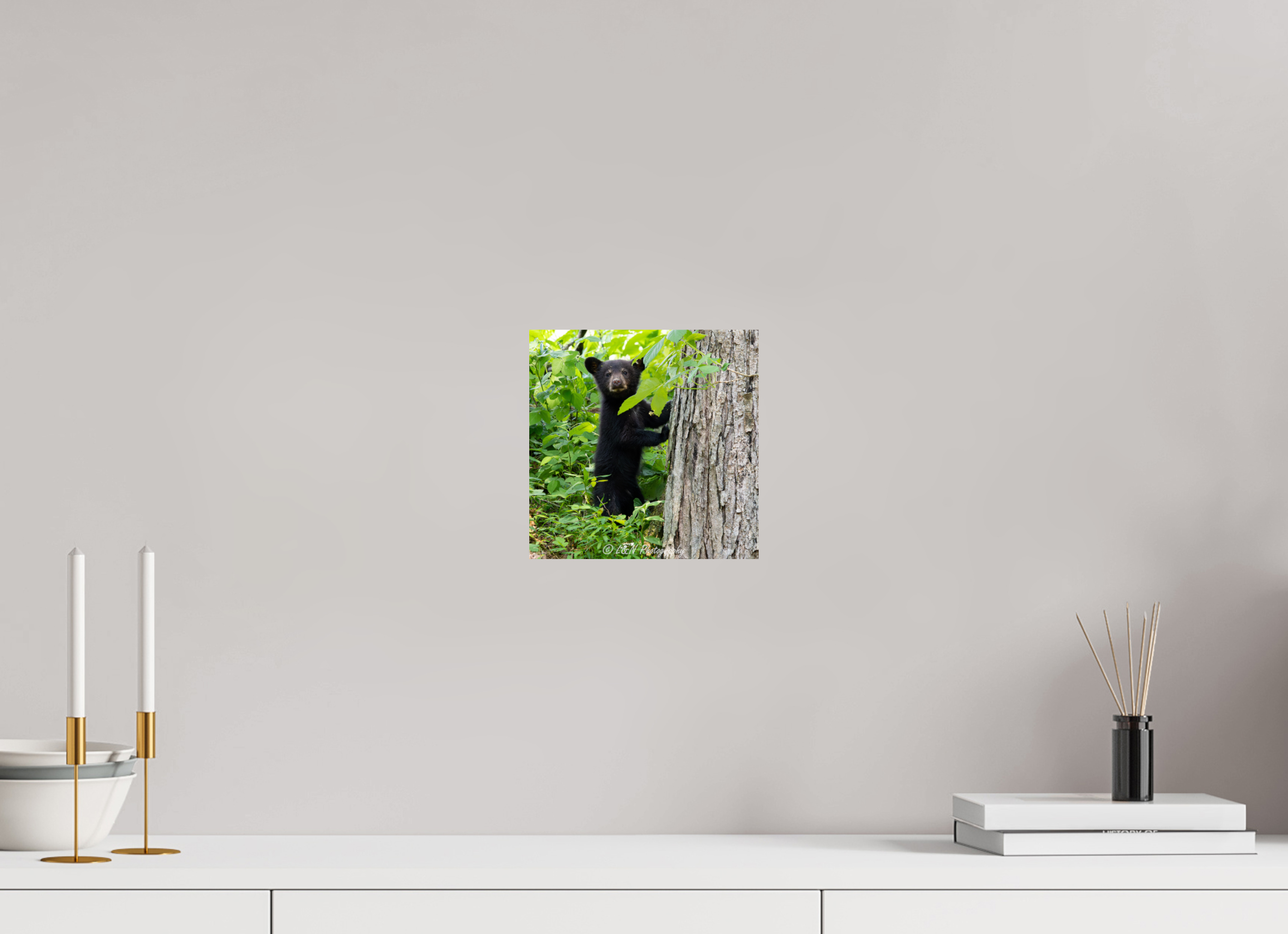 8 x 8″, Photo Print On Fuji Crystal DP II Bear Cub