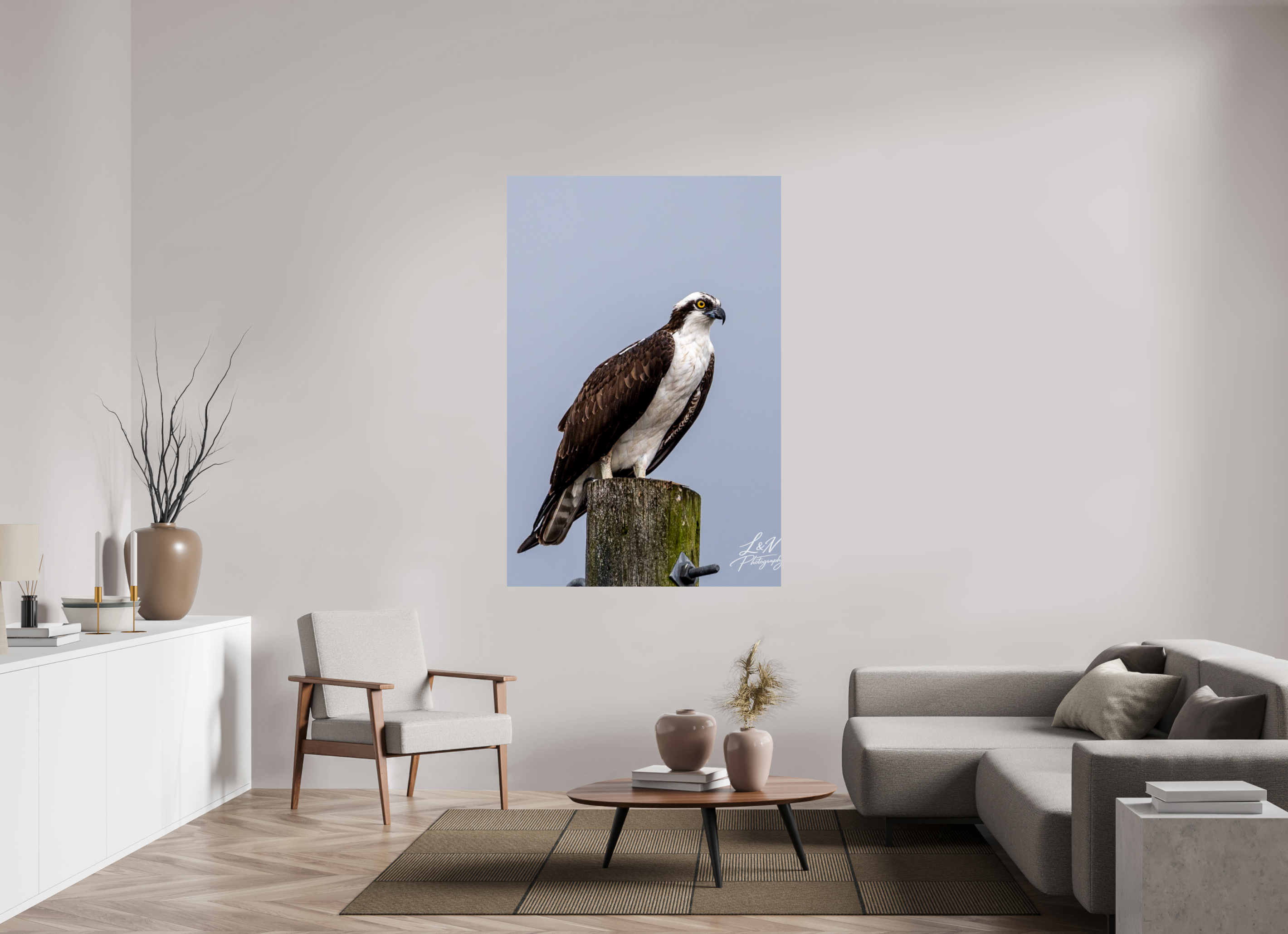 44 x 66″, Photo Print on Aluminum Backing Focused
