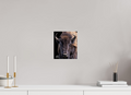 8 x 9.4″, Photo Print On Fuji Crystal DP II Yellowstone Bison