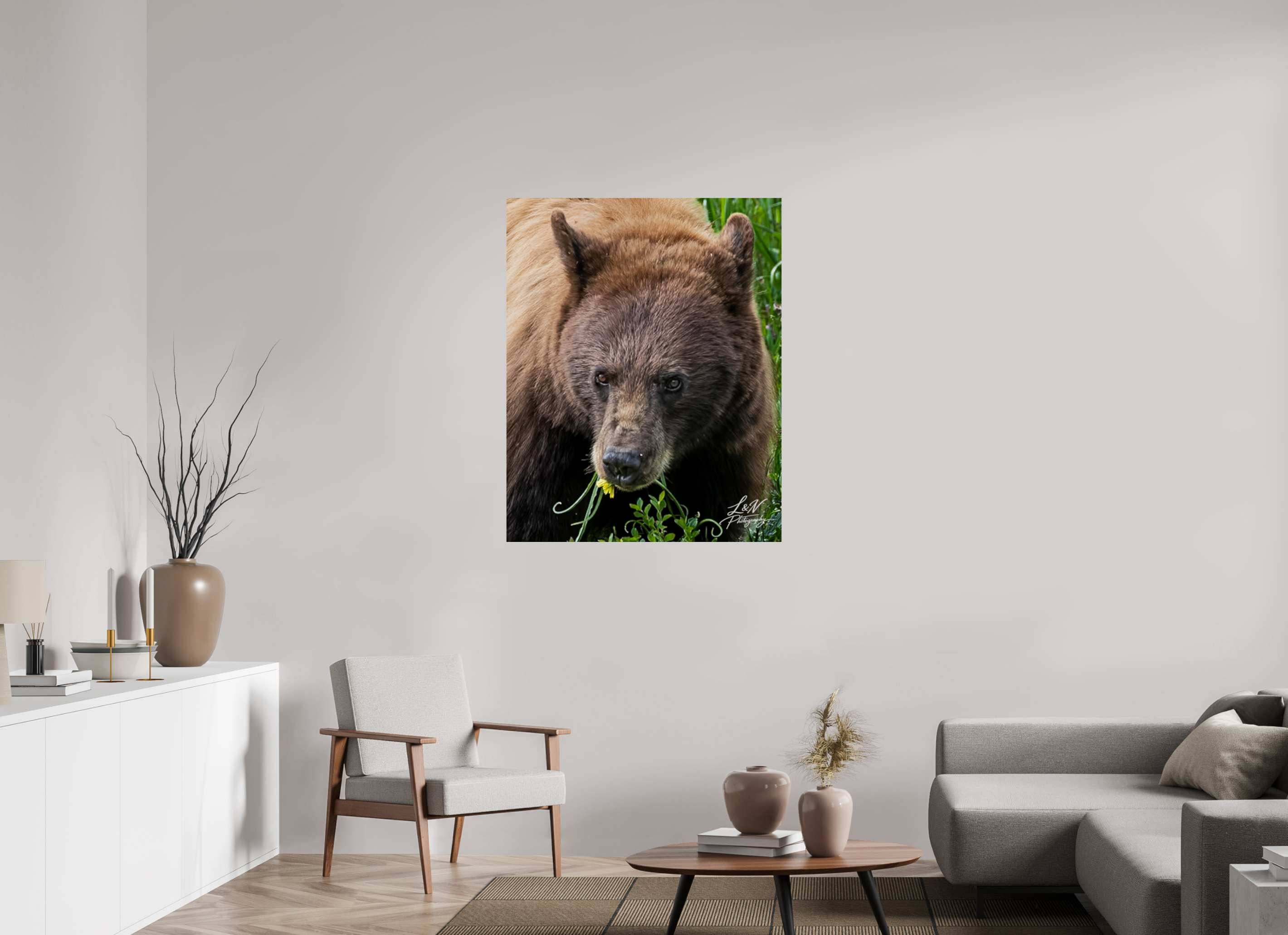 35 x 43.7″, Photo Print on Aluminum Backing Eyes of the Wild