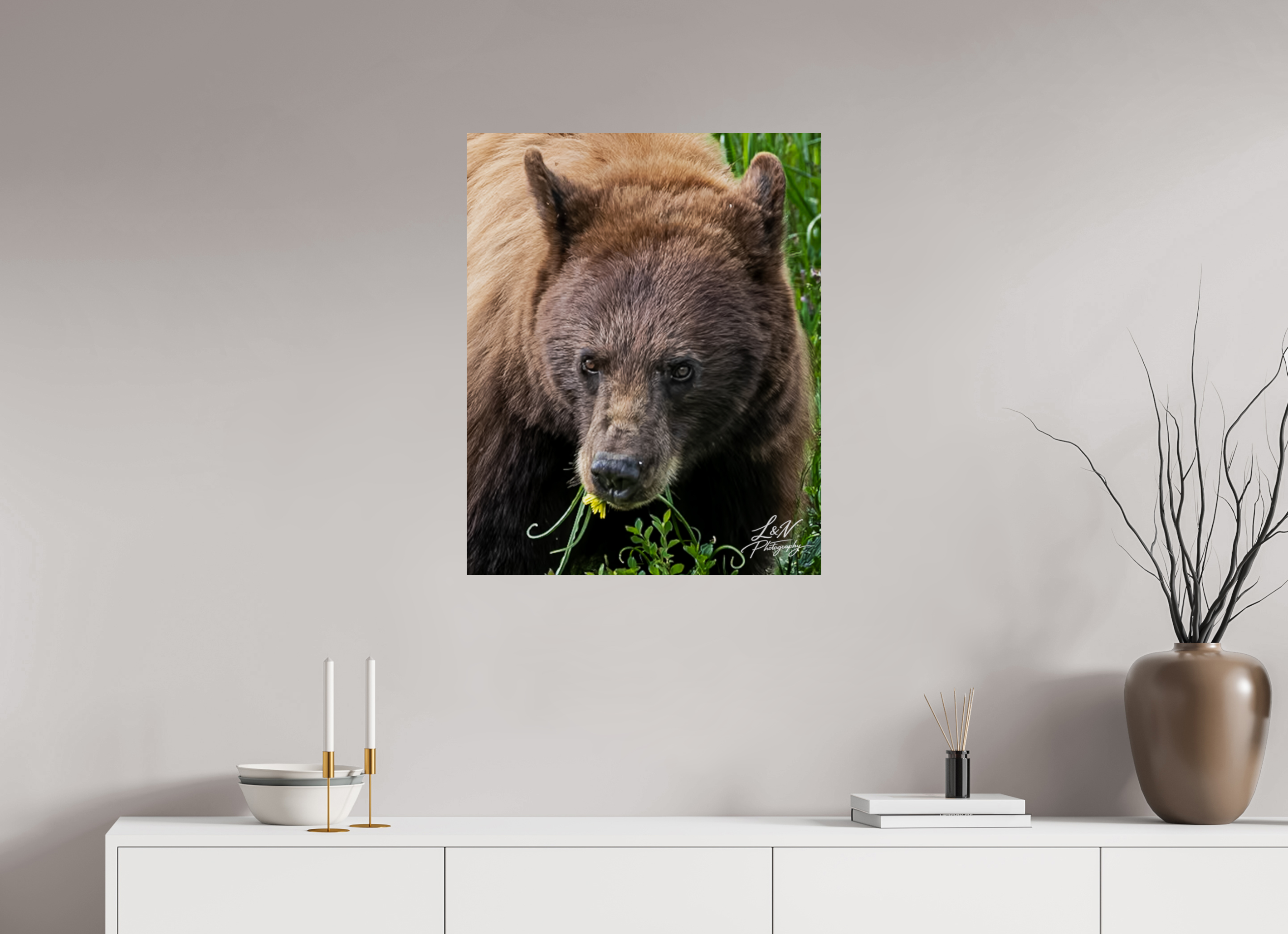 24 x 30″, Photo Print On Fuji Crystal DP II Eyes of the Wild