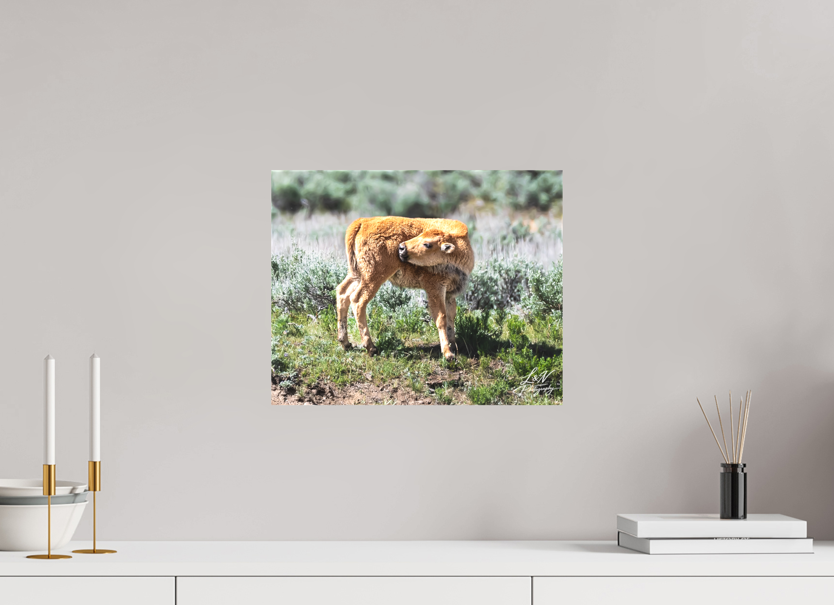 15 x 12″, Matte Canvas on Stretcher Frame Looking Back