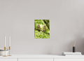 8 x 10″, Photo Print On Fuji Crystal DP II Kindred Spirits