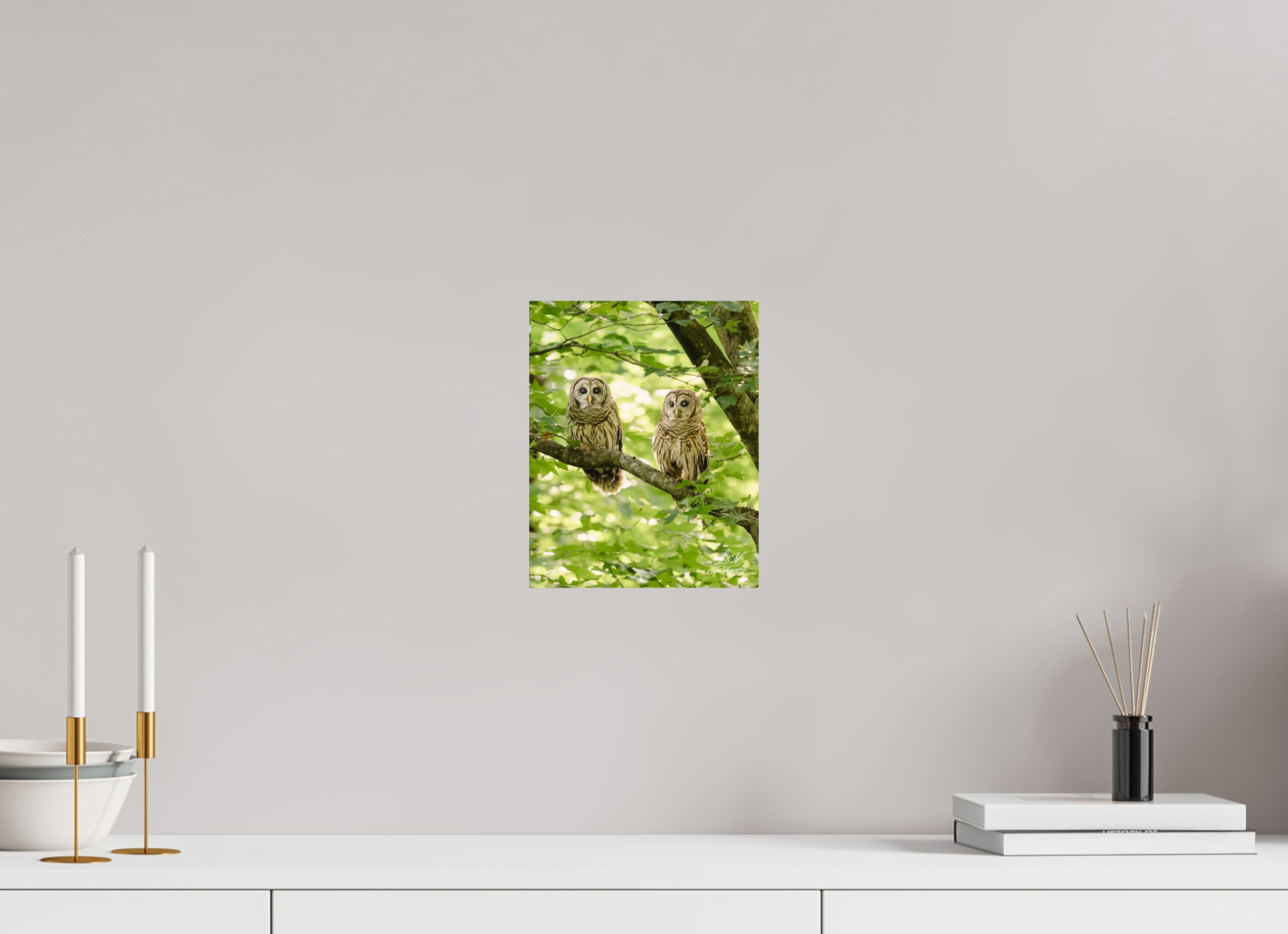 8 x 10″, Photo Print On Fuji Crystal DP II Kindred Spirits