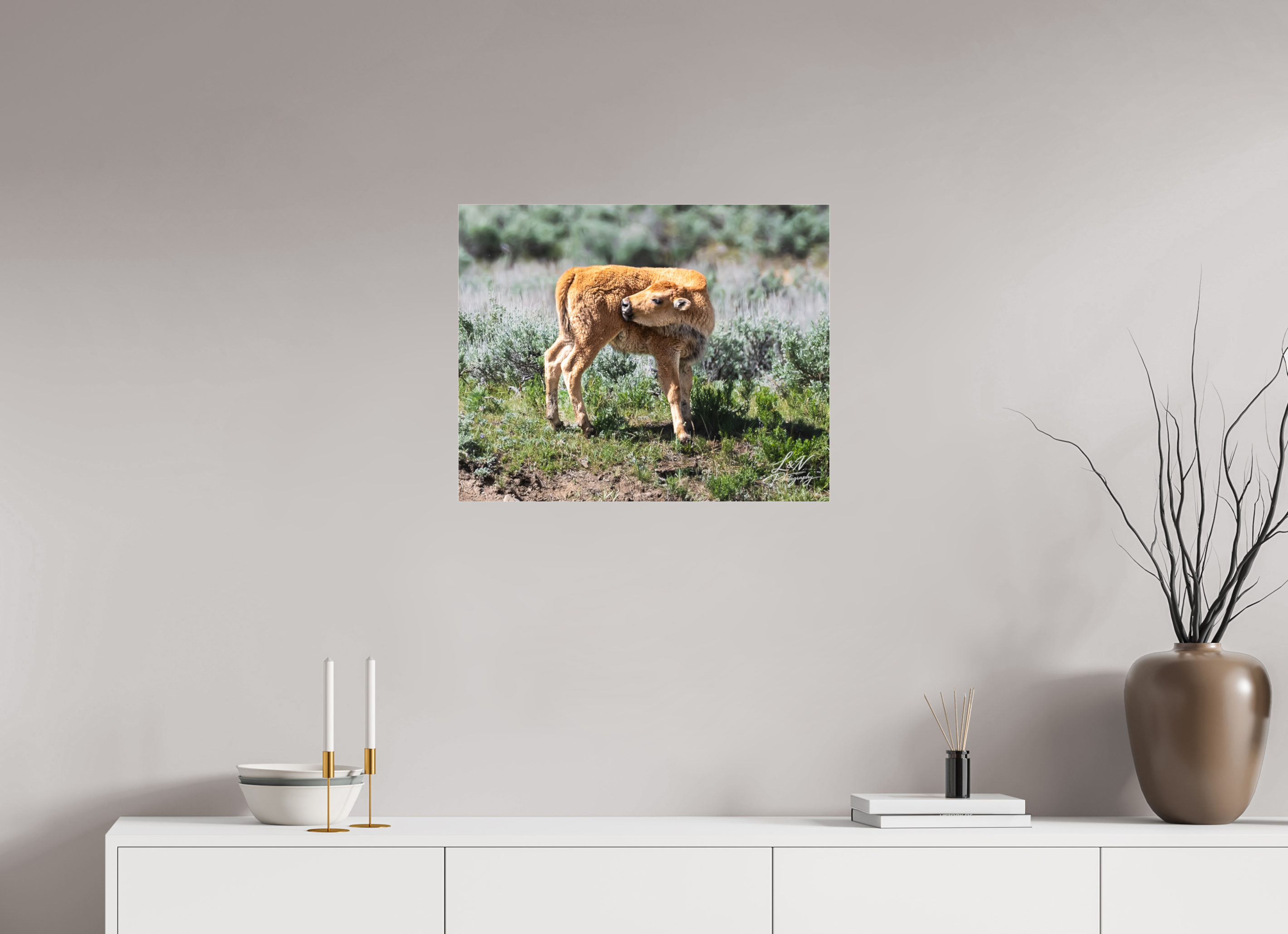 25 x 20″, Photo Print Under Acrylic Glass Looking Back