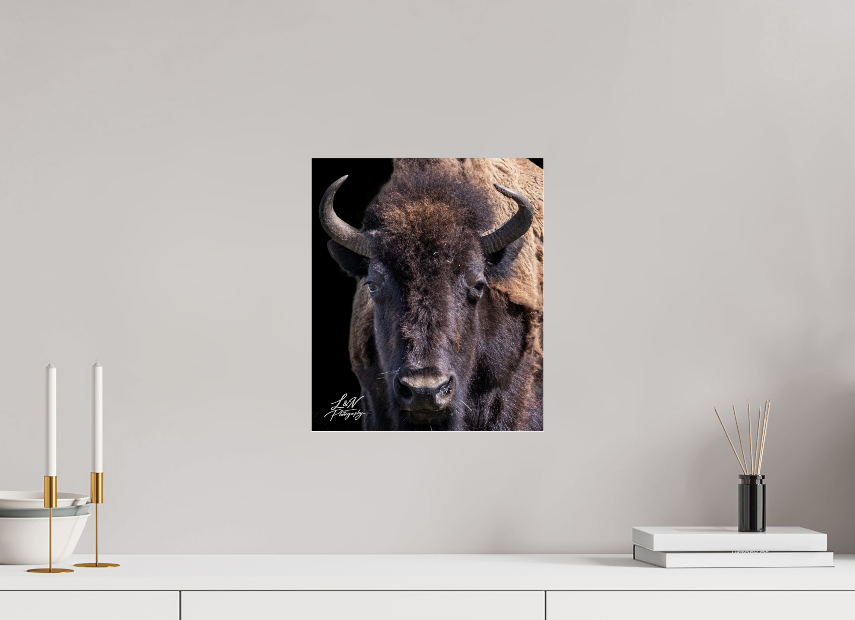 12 x 14.1″, Photo Print Under Acrylic Glass Yellowstone Bison