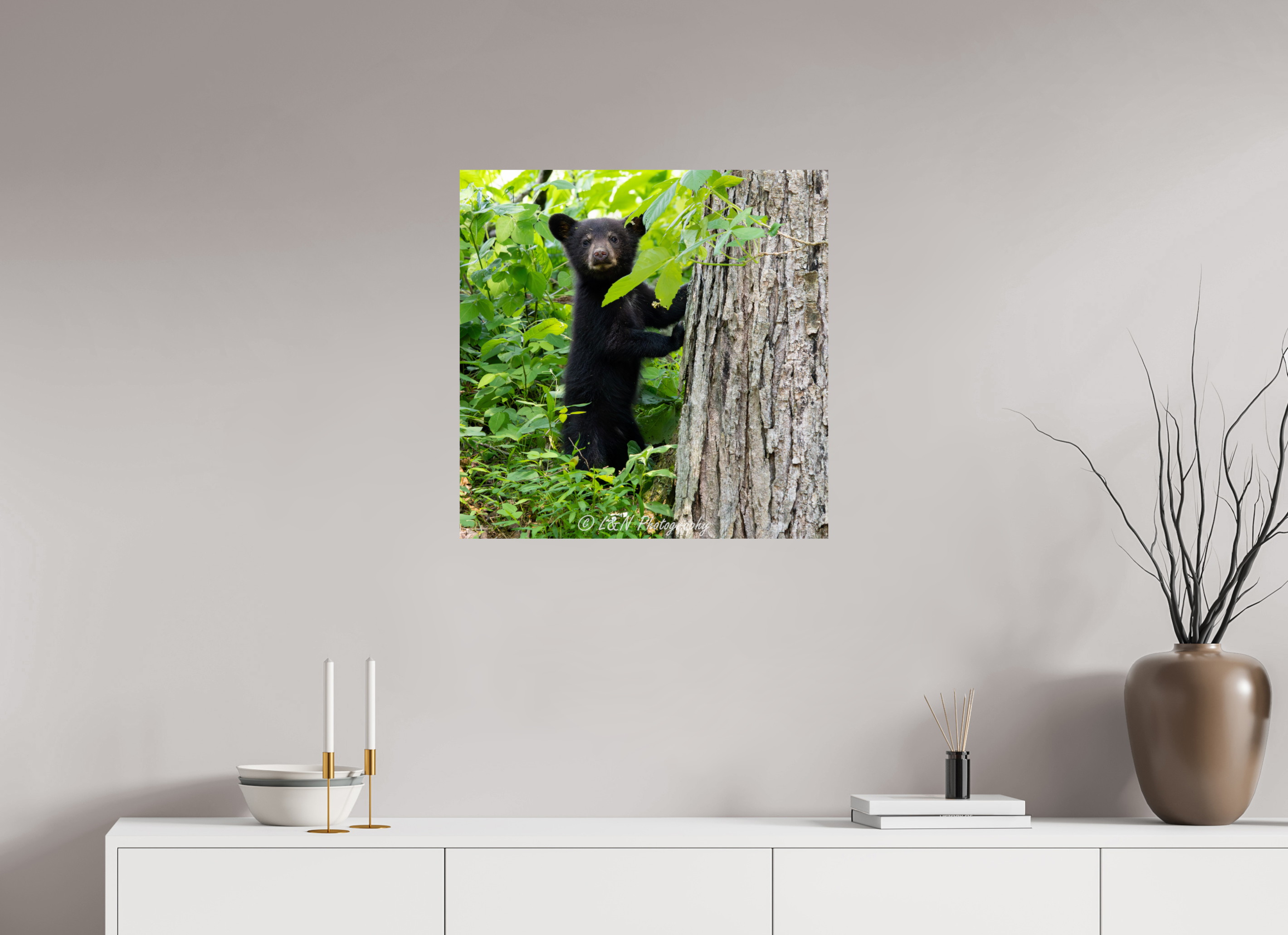 25 x 25″, Photo Print On Fuji Crystal DP II Bear Cub