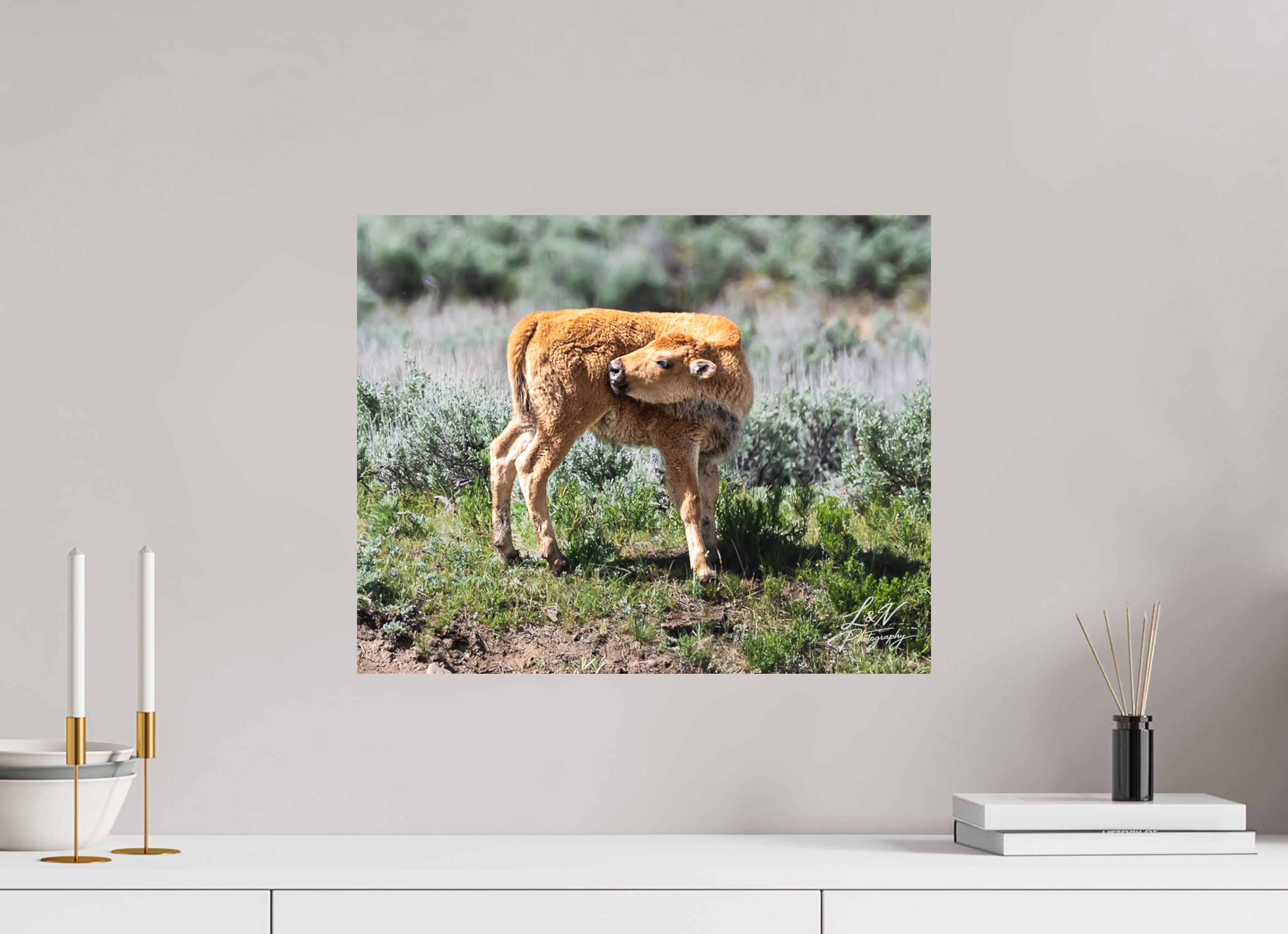 20 x 16″, Photo Print On Fuji Crystal DP II Looking Back