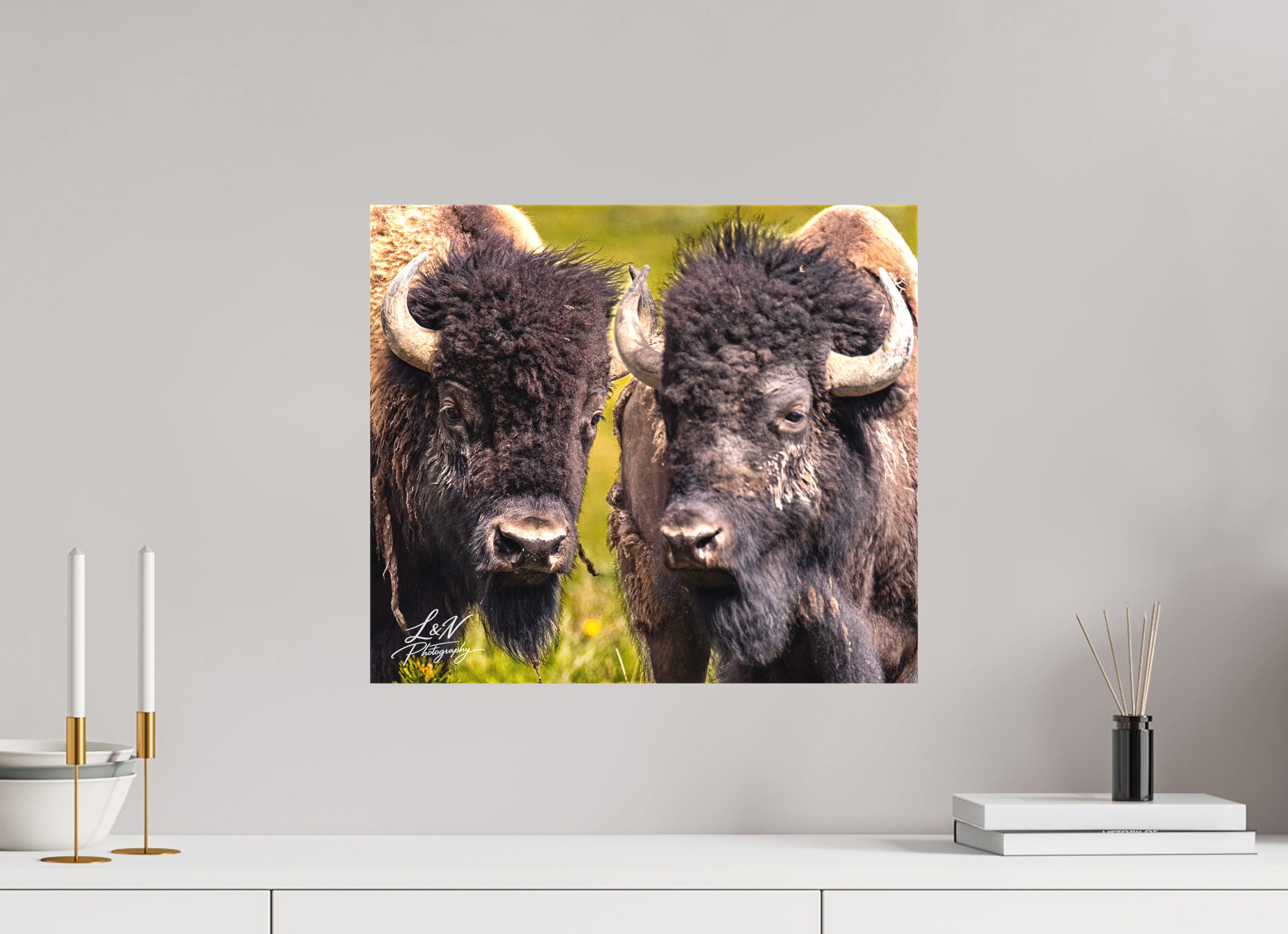 18.3 x 16″, Matte Canvas on Stretcher Frame Silent Strength