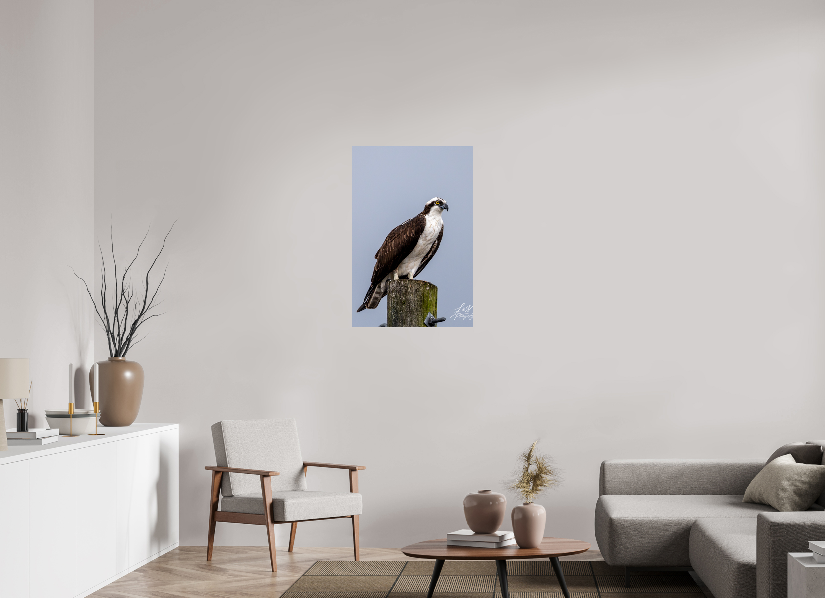 24 x 36″, Photo Print on Aluminum Backing Focused