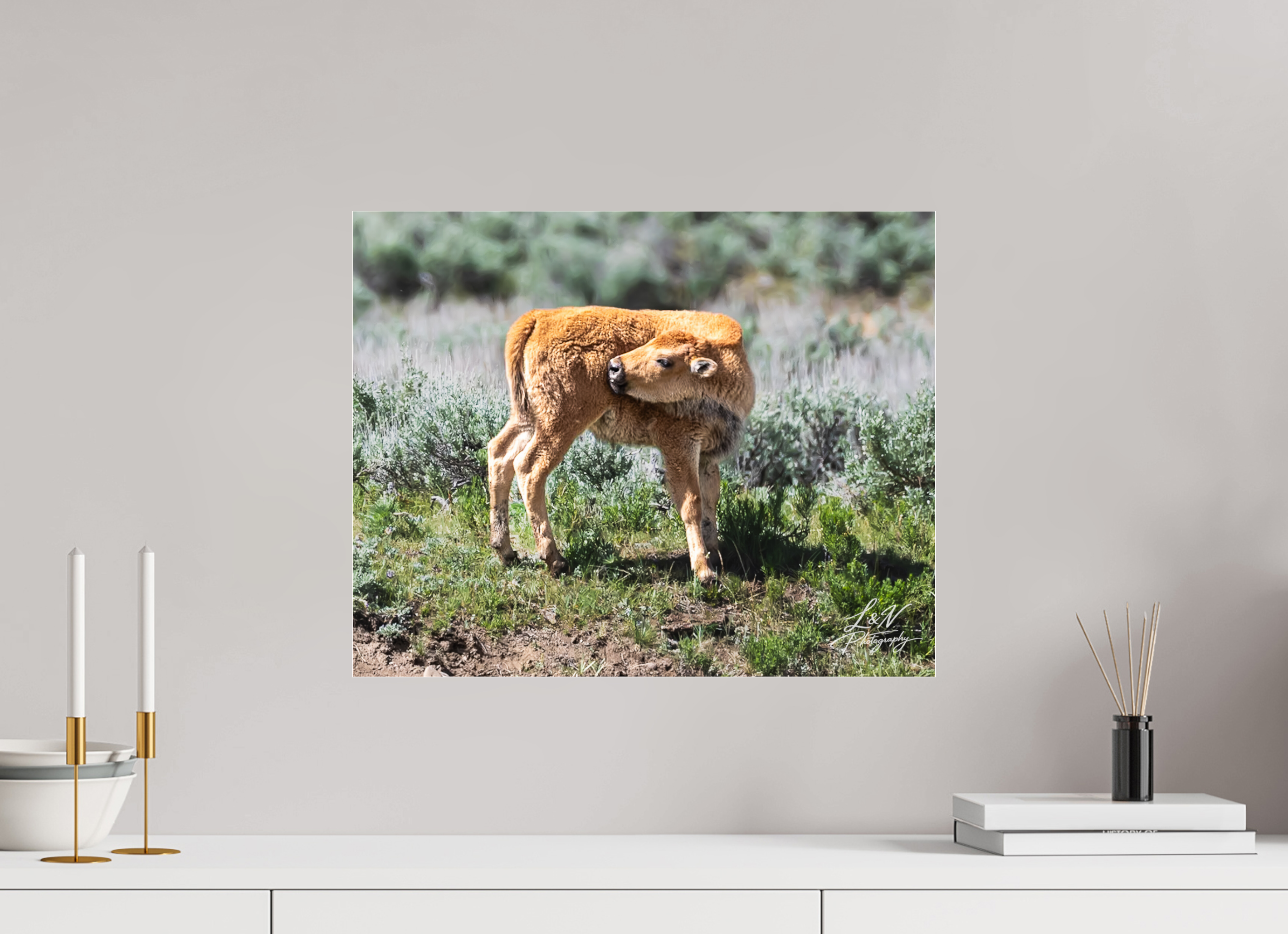 20 x 16″, Photo Print Under Acrylic Glass Looking Back