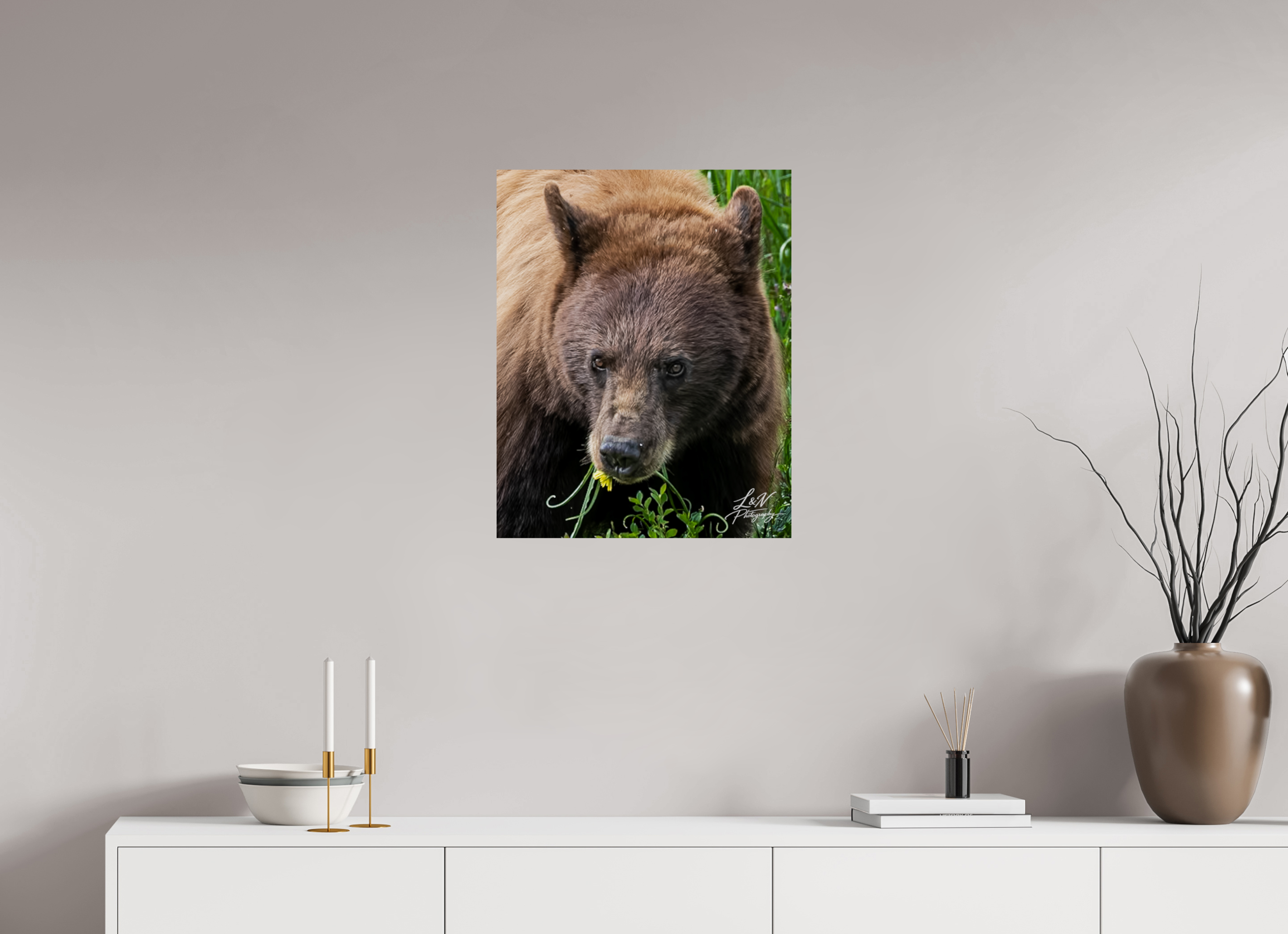 20 x 25″, Photo Print On Fuji Crystal DP II Eyes of the Wild