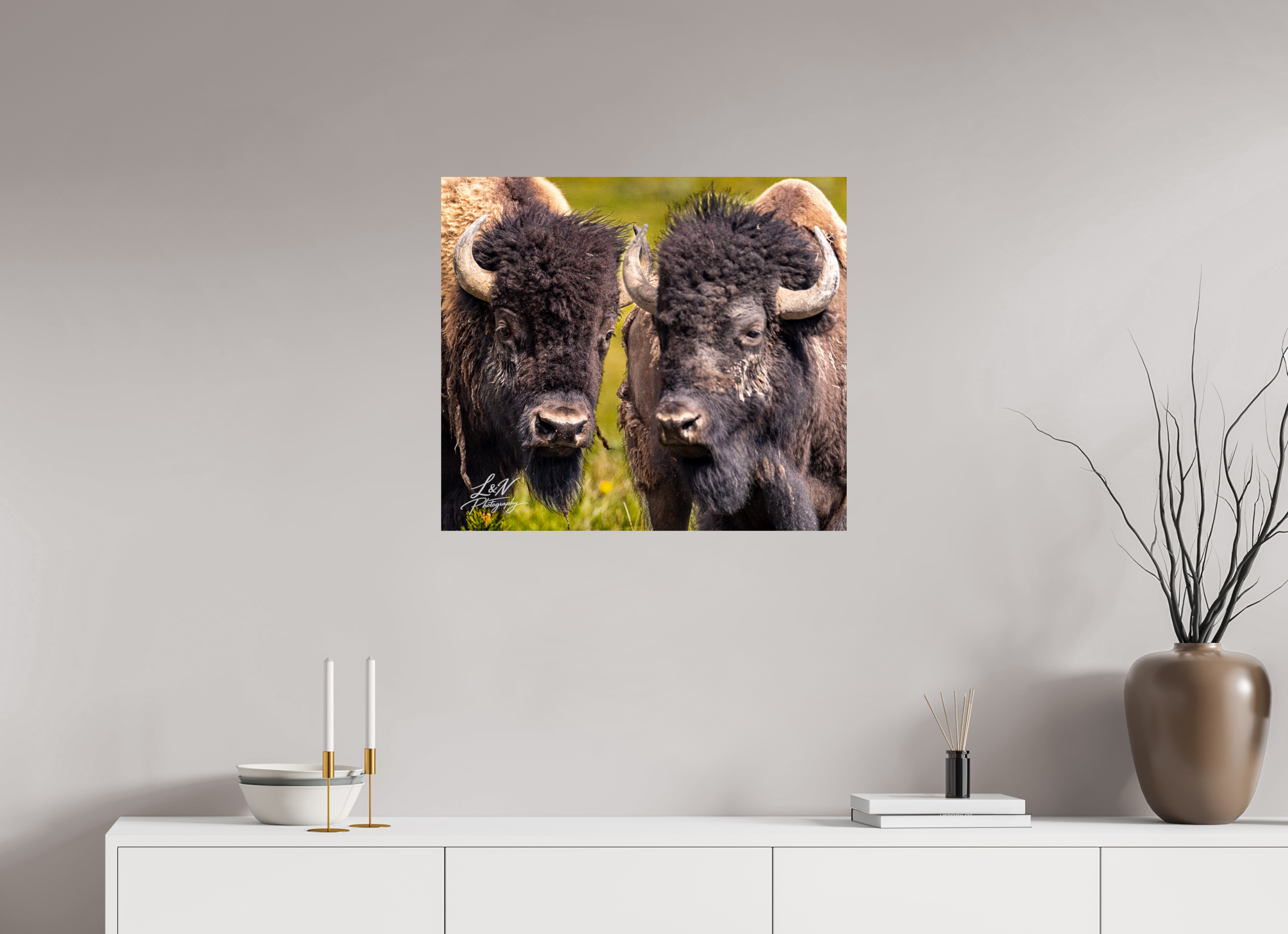 27.5 x 24″, Photo Print On Fuji Crystal DP II Silent Strength