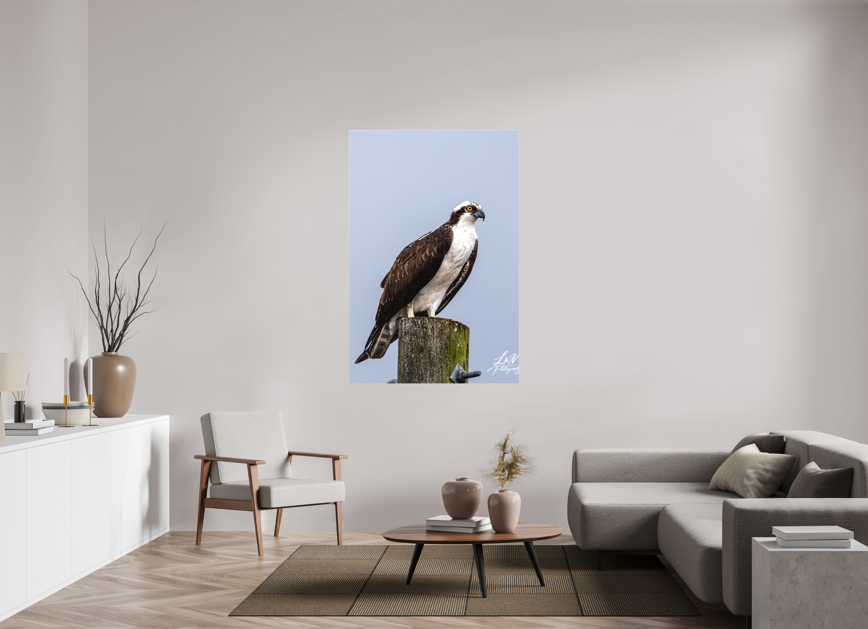 40 x 60″, Matte Canvas on Stretcher Frame Focused