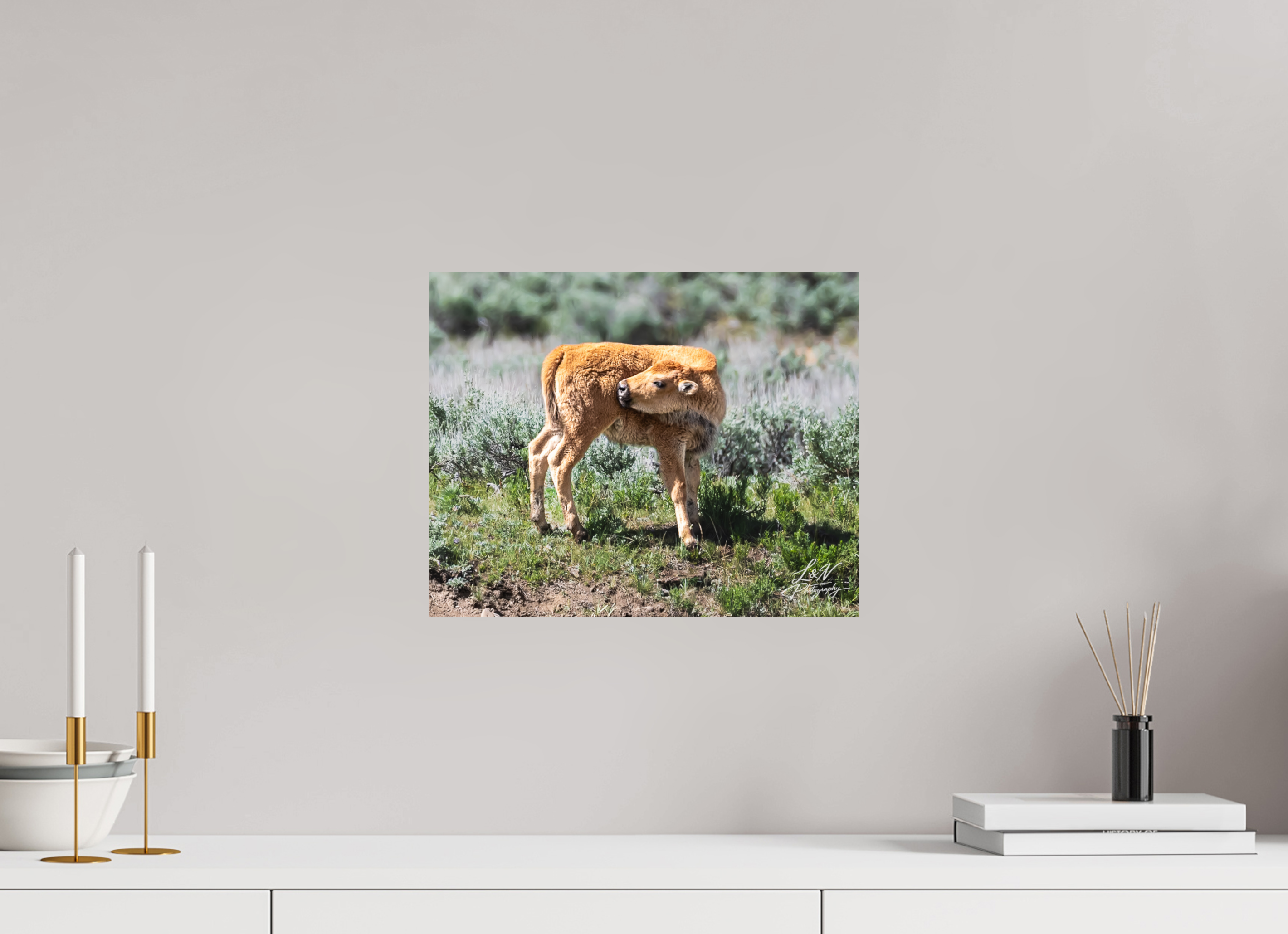 15 x 12″, Photo Print On Fuji Crystal DP II Looking Back
