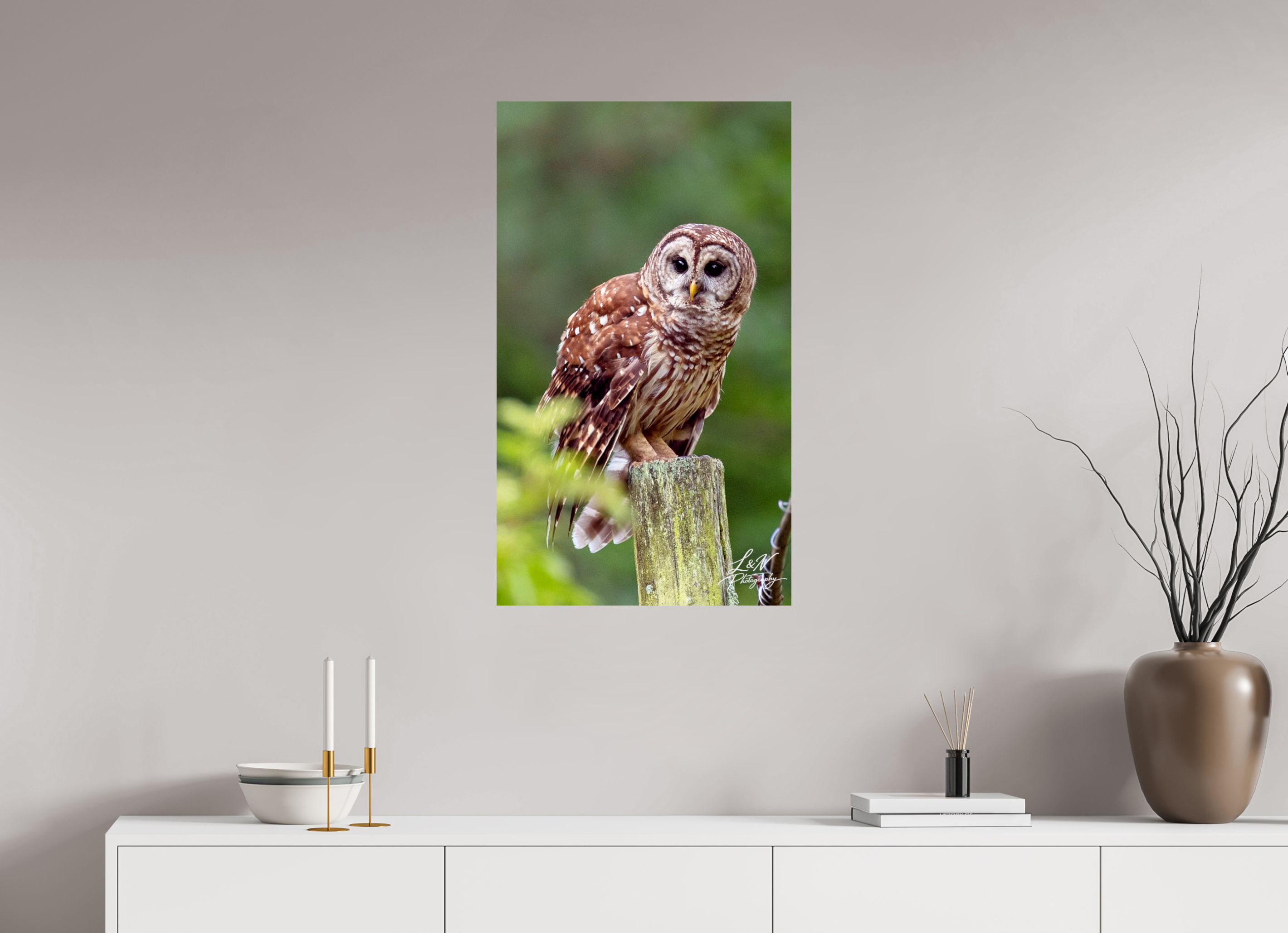 20 x 34.3″, Photo Print On Fuji Crystal DP II Moments in the Wild  Wildlife & Nature Photography from Alabama