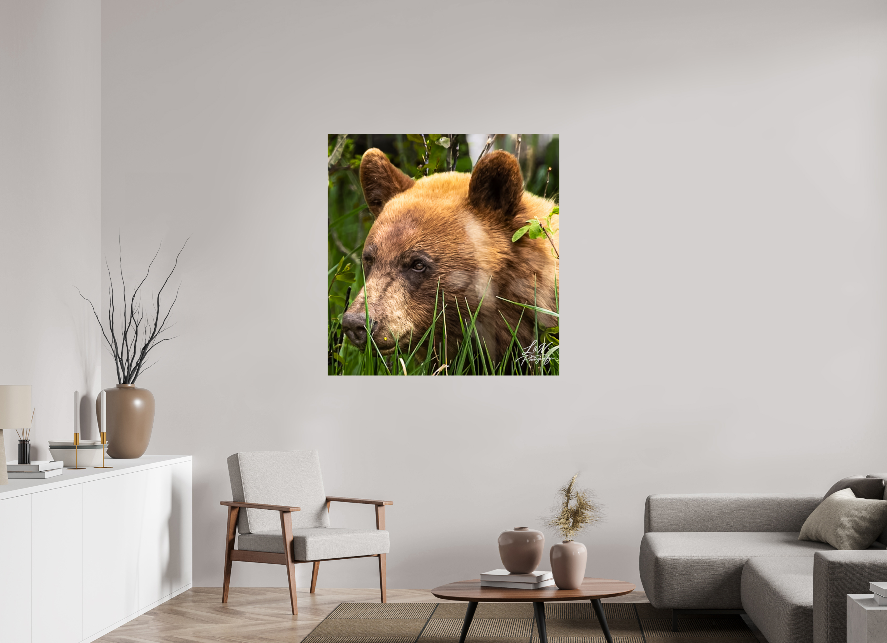 43 x 44.8″, Photo Print On Fuji Crystal DP II Cinnamon Bear