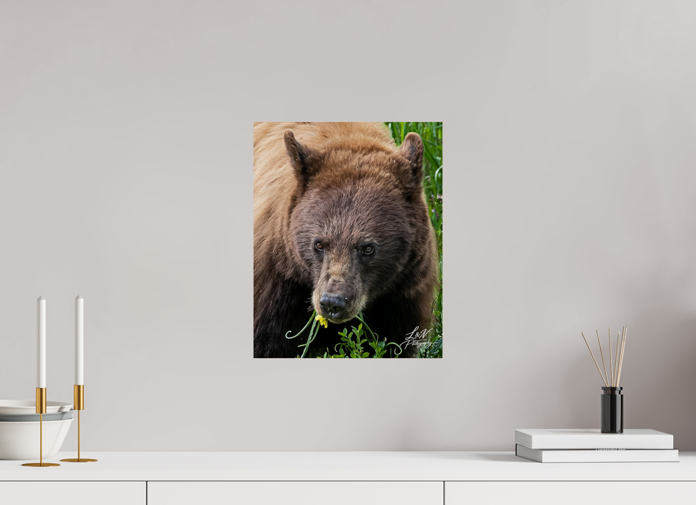 12 x 15″, Photo Print on Aluminum Backing Eyes of the Wild