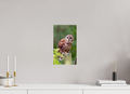8 x 13.7″, Photo Print On Fuji Crystal DP II Moments in the Wild  Wildlife & Nature Photography from Alabama