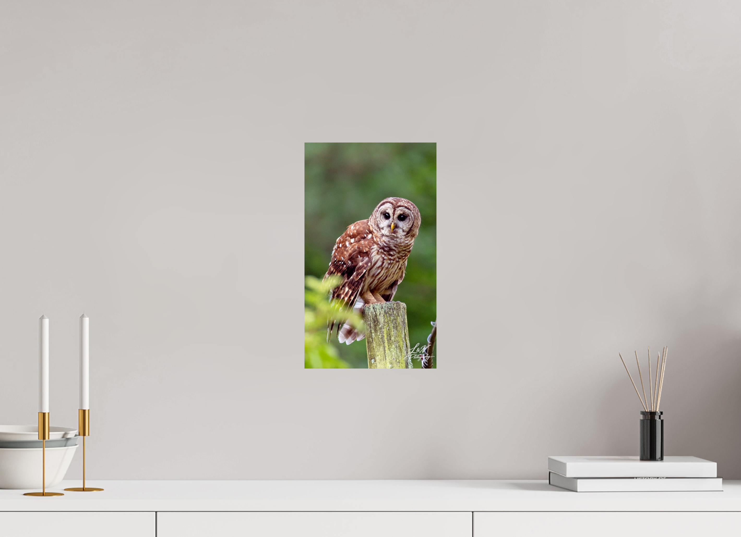 8 x 13.7″, Photo Print On Fuji Crystal DP II Moments in the Wild  Wildlife & Nature Photography from Alabama