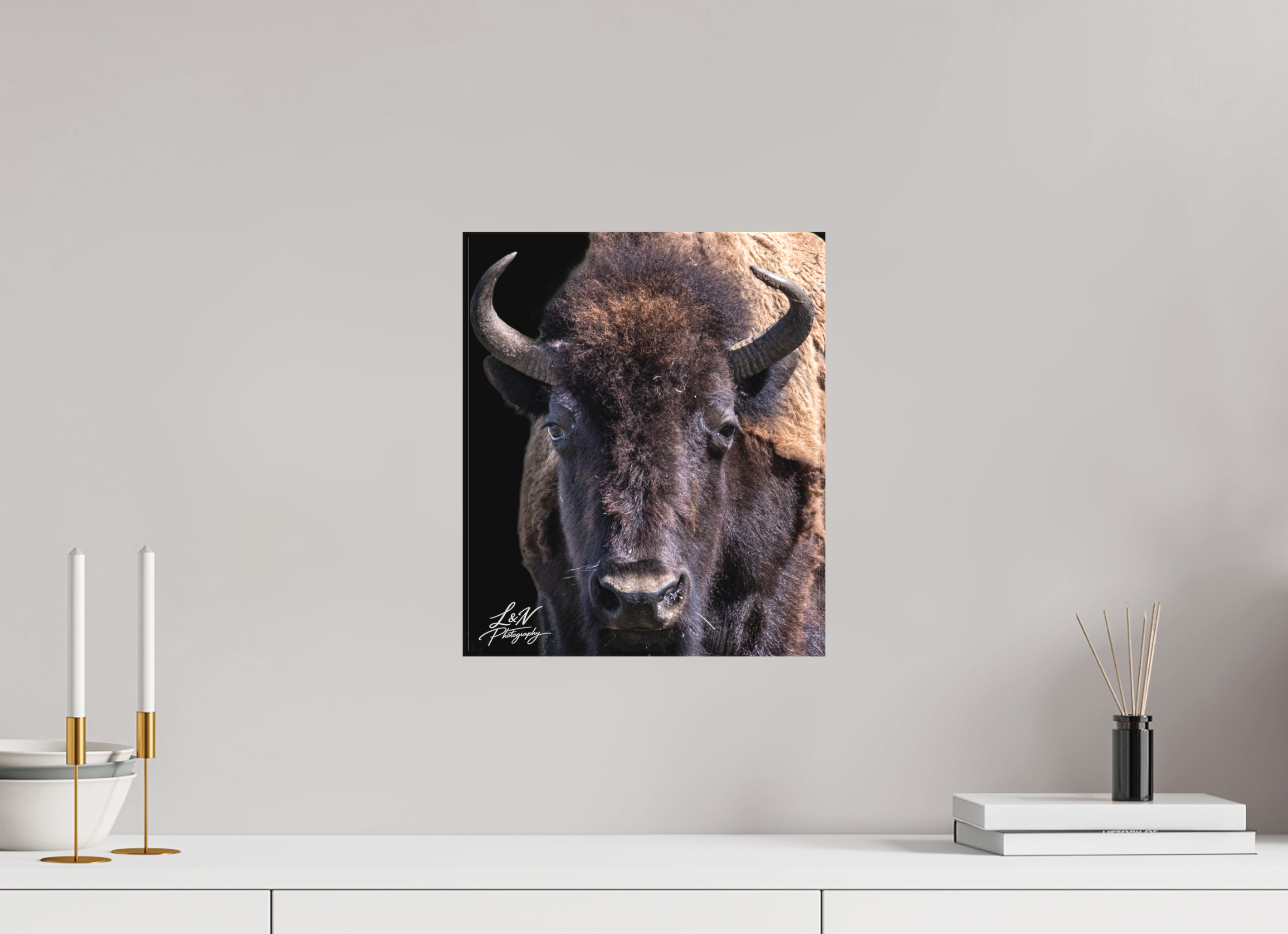 12 x 14.1″, Matte Canvas on Stretcher Frame Yellowstone Bison