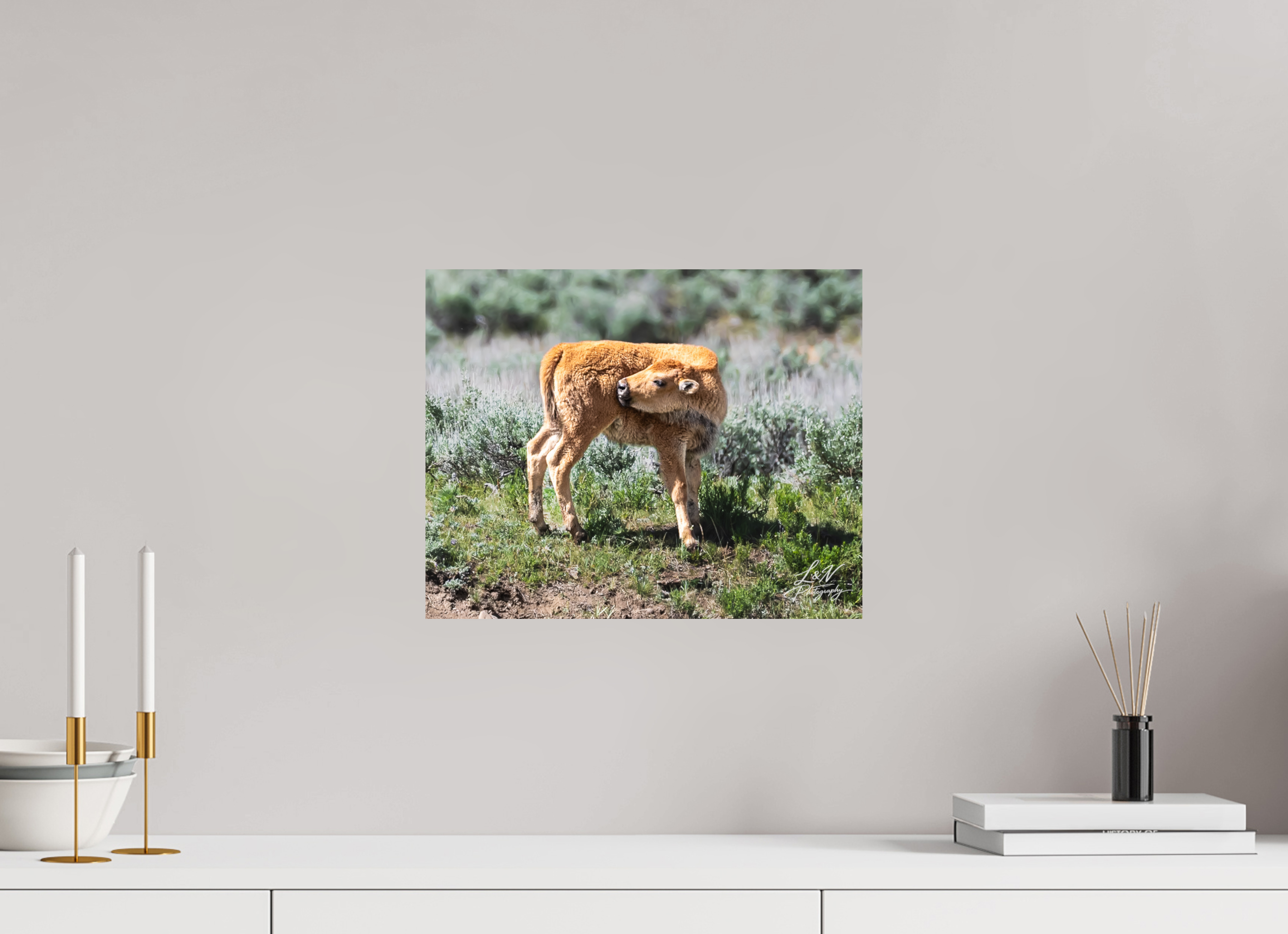15 x 12″, Photo Print on Aluminum Backing Looking Back