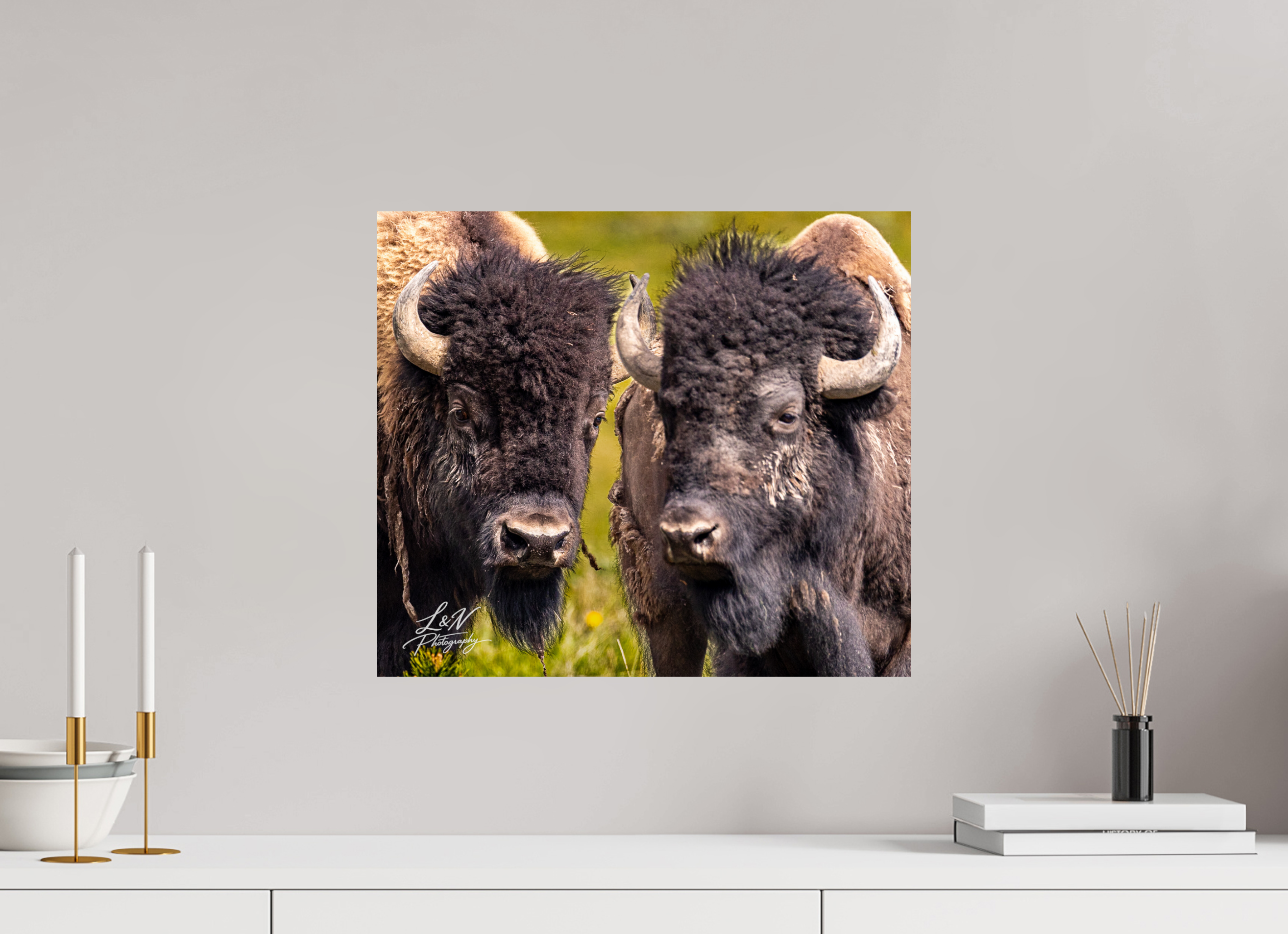 18.3 x 16″, Photo Print on Aluminum Backing Silent Strength