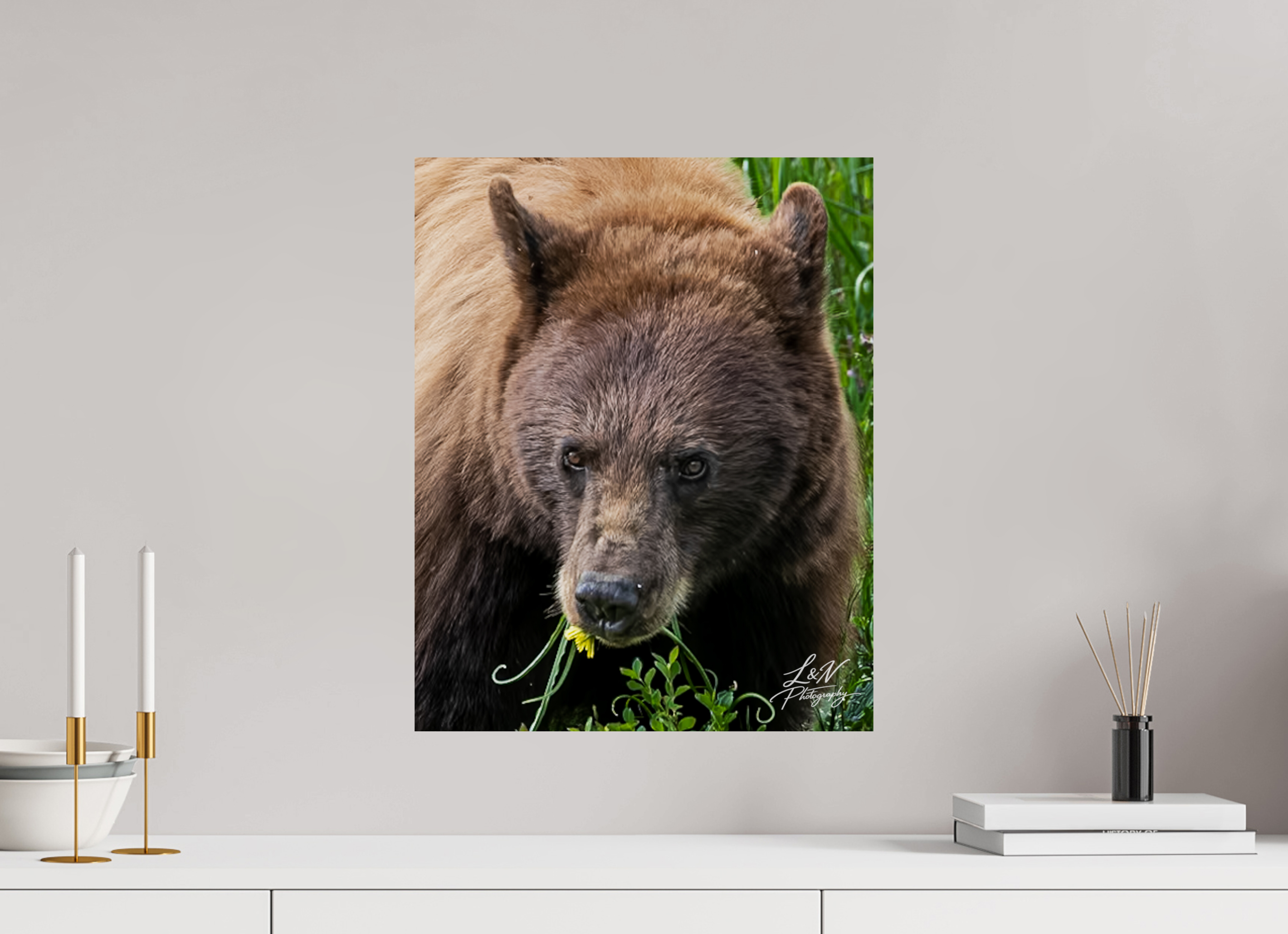 16 x 20″, Photo Print On Fuji Crystal DP II Eyes of the Wild