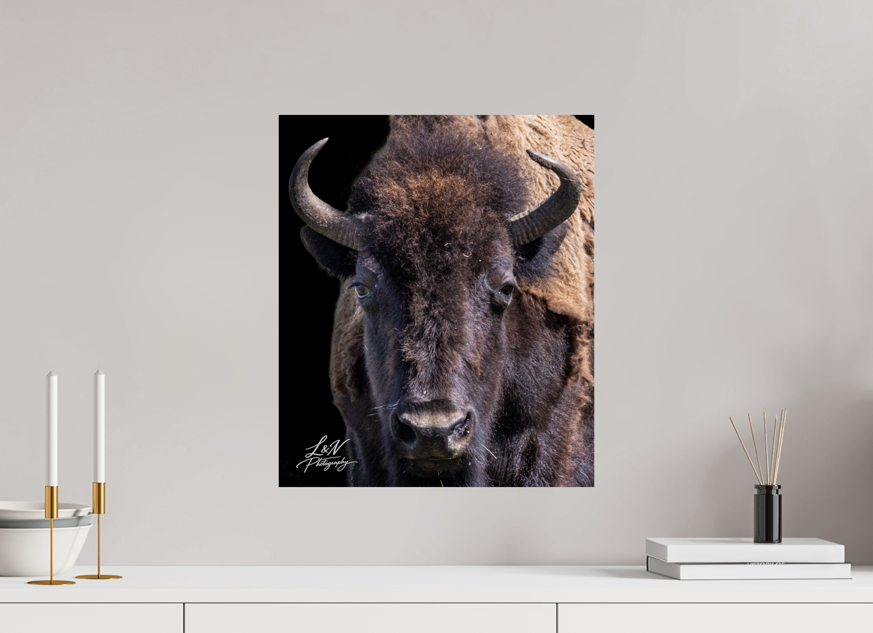 16 x 18.9″, Photo Print on Aluminum Backing Yellowstone Bison