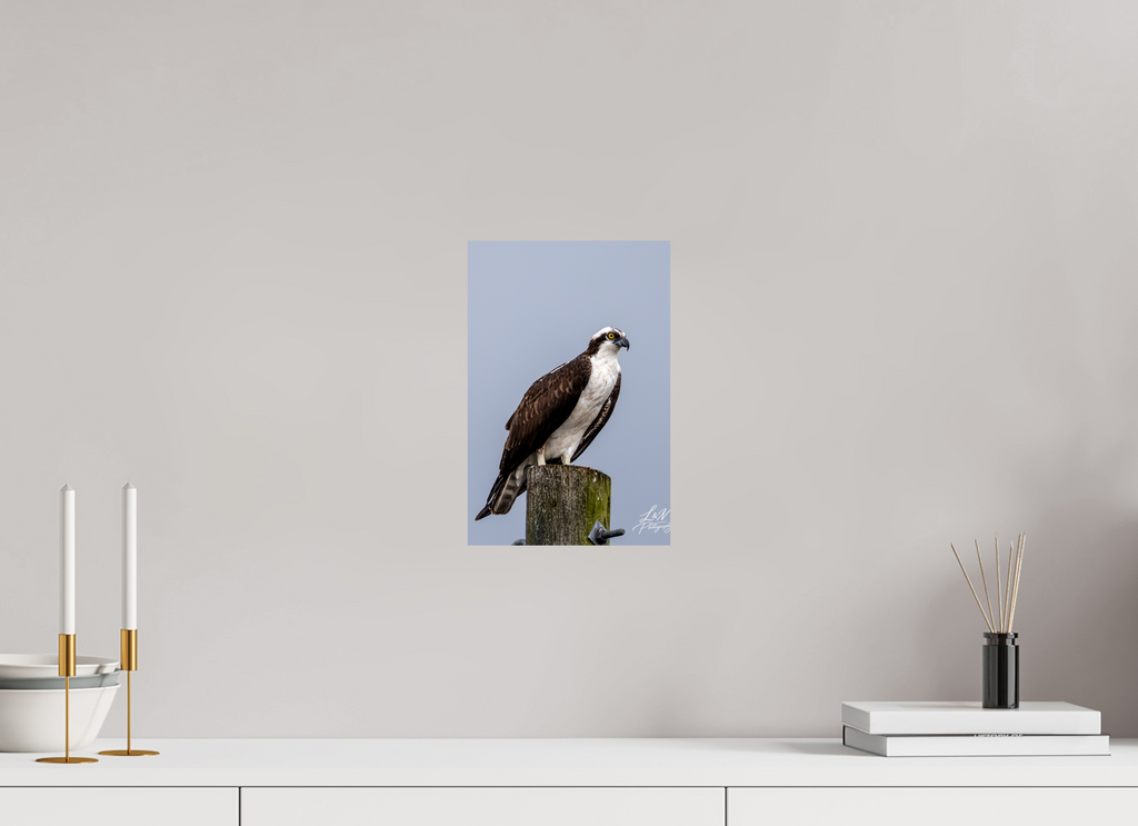 8 x 12″, Photo Print On Fuji Crystal DP II Focused