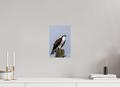 8 x 12″, Photo Print On Fuji Crystal DP II Focused